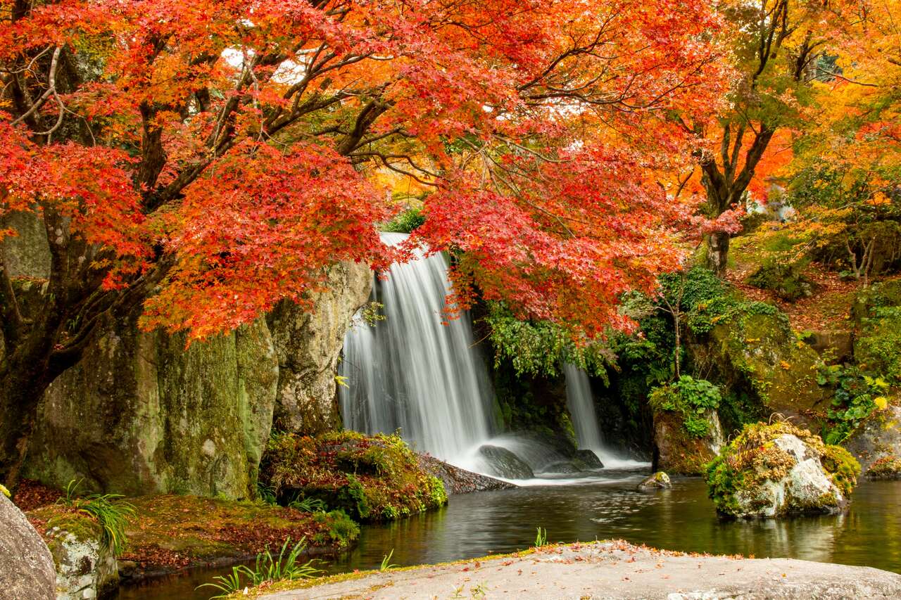 cachoeira com arvores>